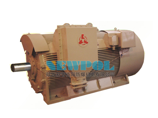 高壓非防爆異步電機